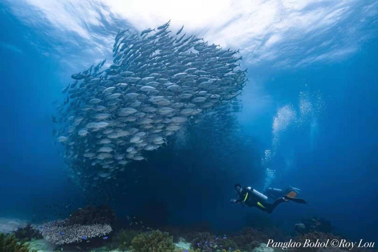 Ultra Mint Dive Resort Đảo Đảo Panglao Ngoại thất bức ảnh